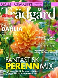 Allers Trädgård Allers Trädgård