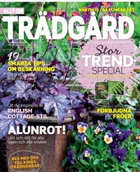 Allt om Trädgård