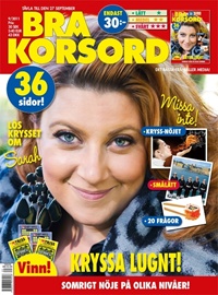 Bra Korsord Bra Korsord