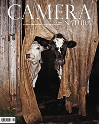 Camera Natura
