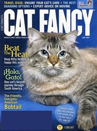 Cat Fancy