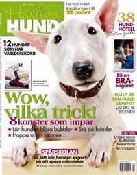 Härliga Hund Härliga Hund