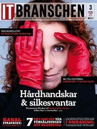 IT-Branschen IT-Branschen
