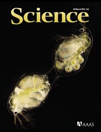 Science Science