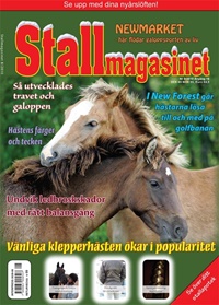 Stallmagasinet