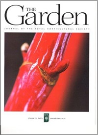 The Garden