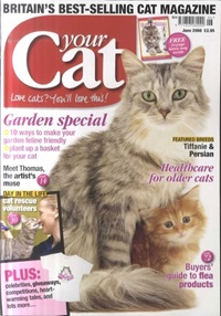 Your Cat