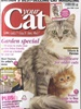 Your Cat